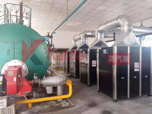 真低氮選凱大 食品廠4臺1t超低氮變頻蒸汽源機組完美替換4t傳統燃氣鍋爐及防雷箱應用